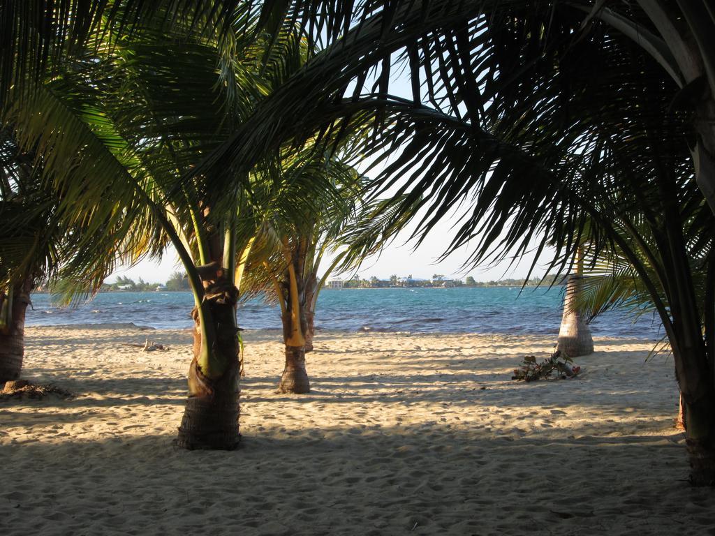 Anda Di Hows Hostel Placencia Екстериор снимка