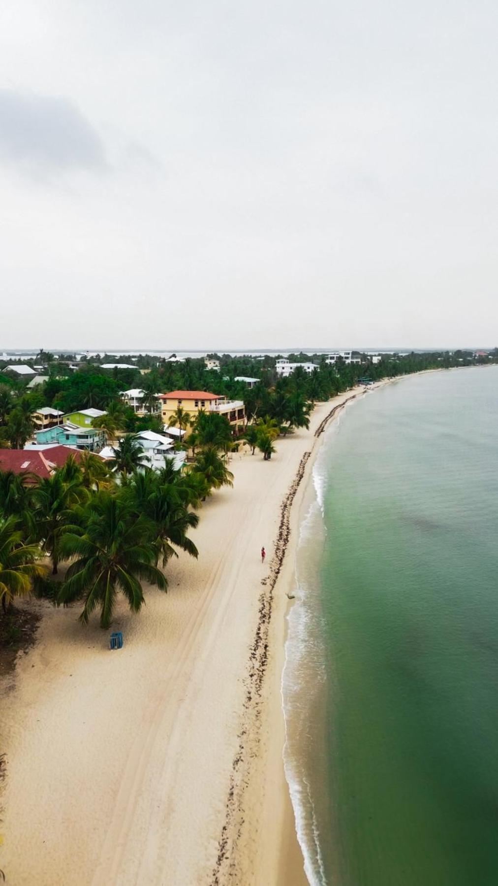 Anda Di Hows Hostel Placencia Екстериор снимка