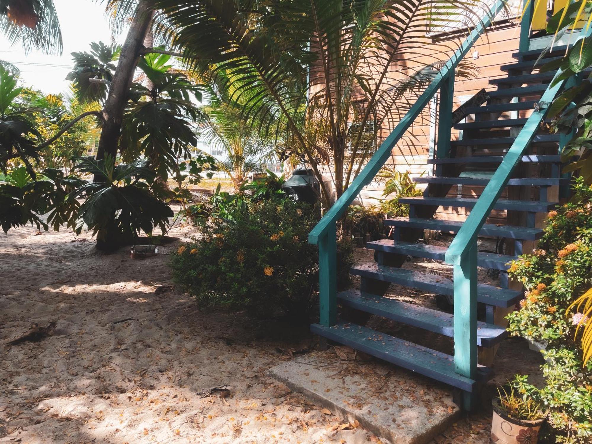 Anda Di Hows Hostel Placencia Екстериор снимка