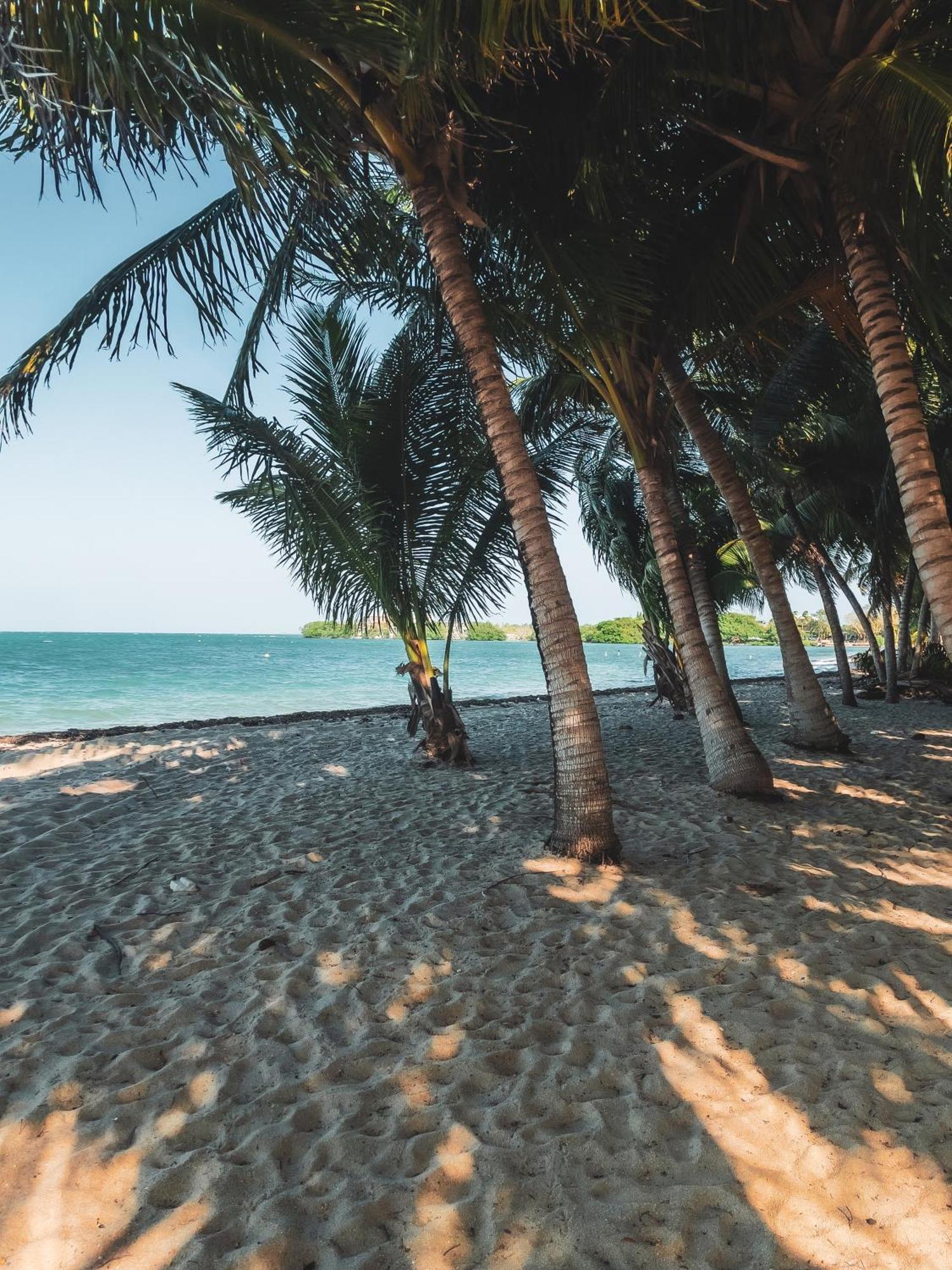 Anda Di Hows Hostel Placencia Екстериор снимка