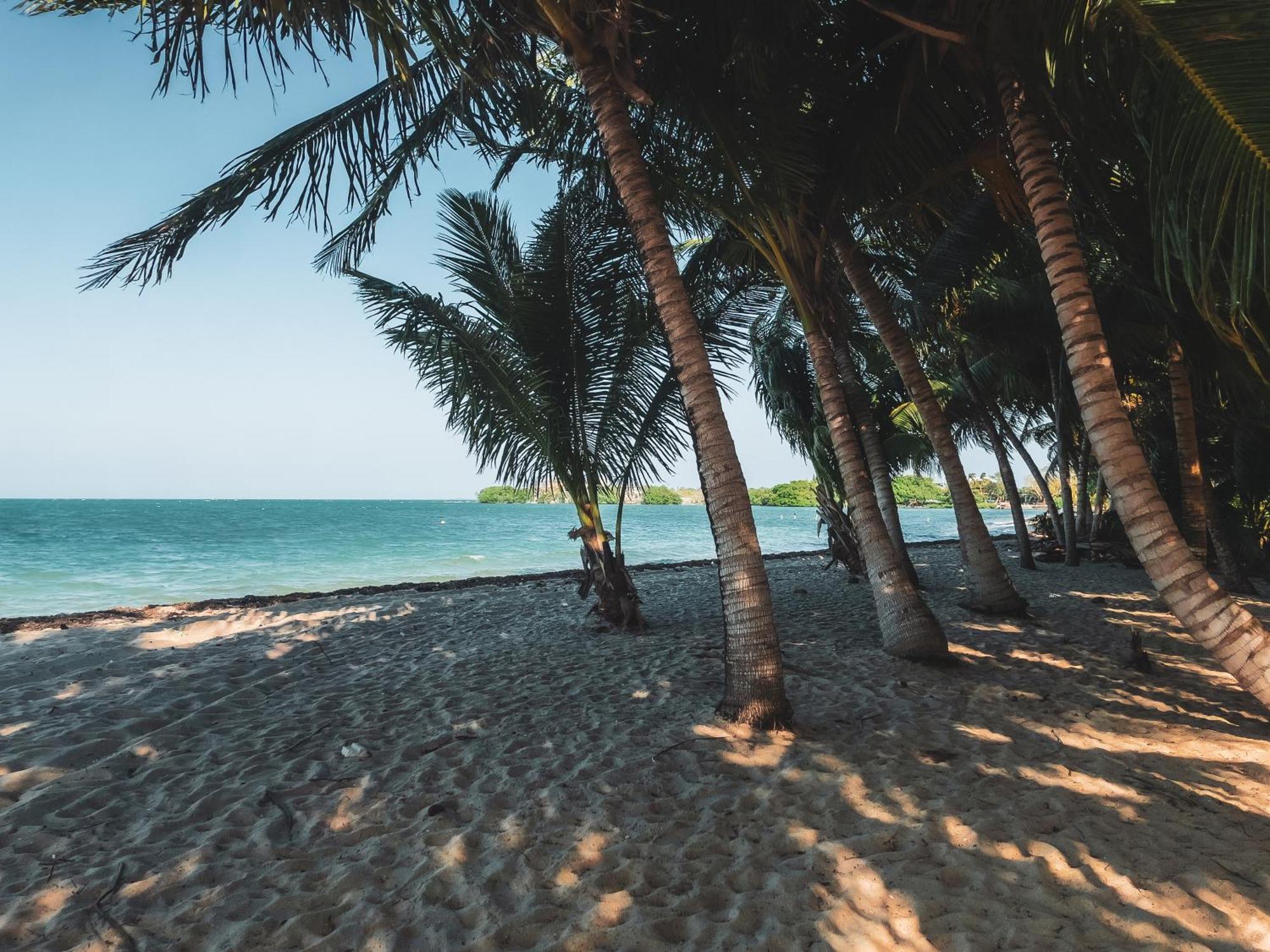 Anda Di Hows Hostel Placencia Екстериор снимка