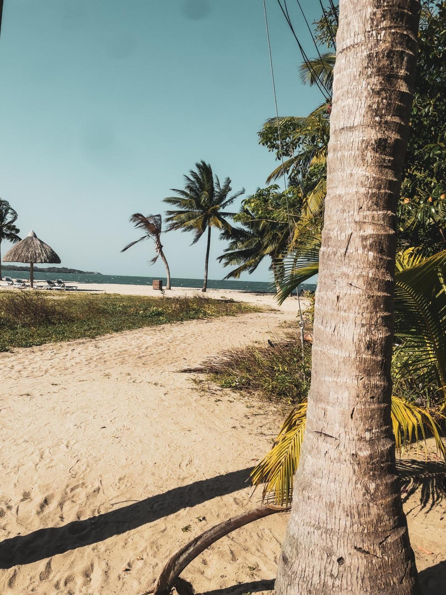 Anda Di Hows Hostel Placencia Екстериор снимка