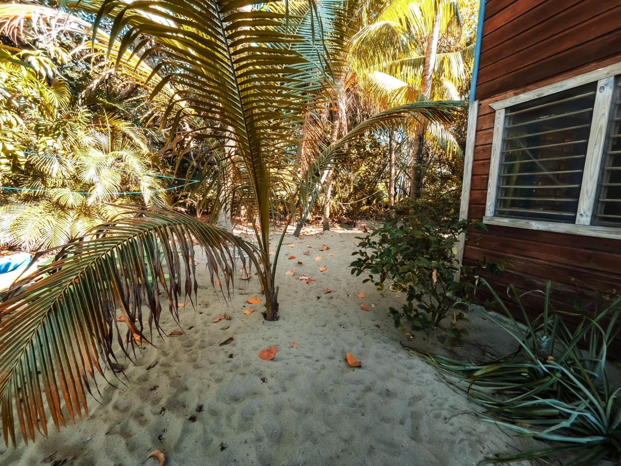 Anda Di Hows Hostel Placencia Екстериор снимка
