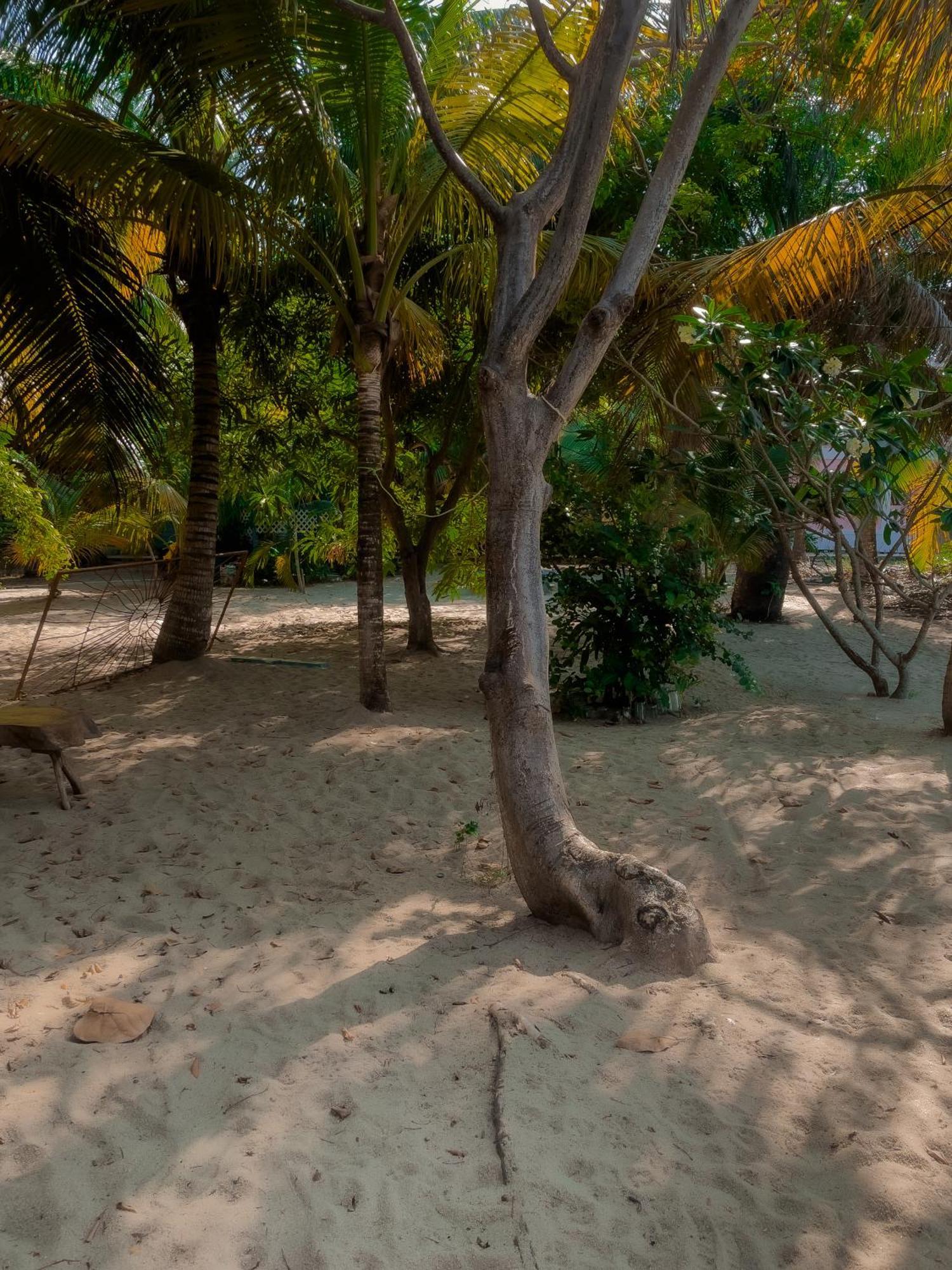 Anda Di Hows Hostel Placencia Екстериор снимка
