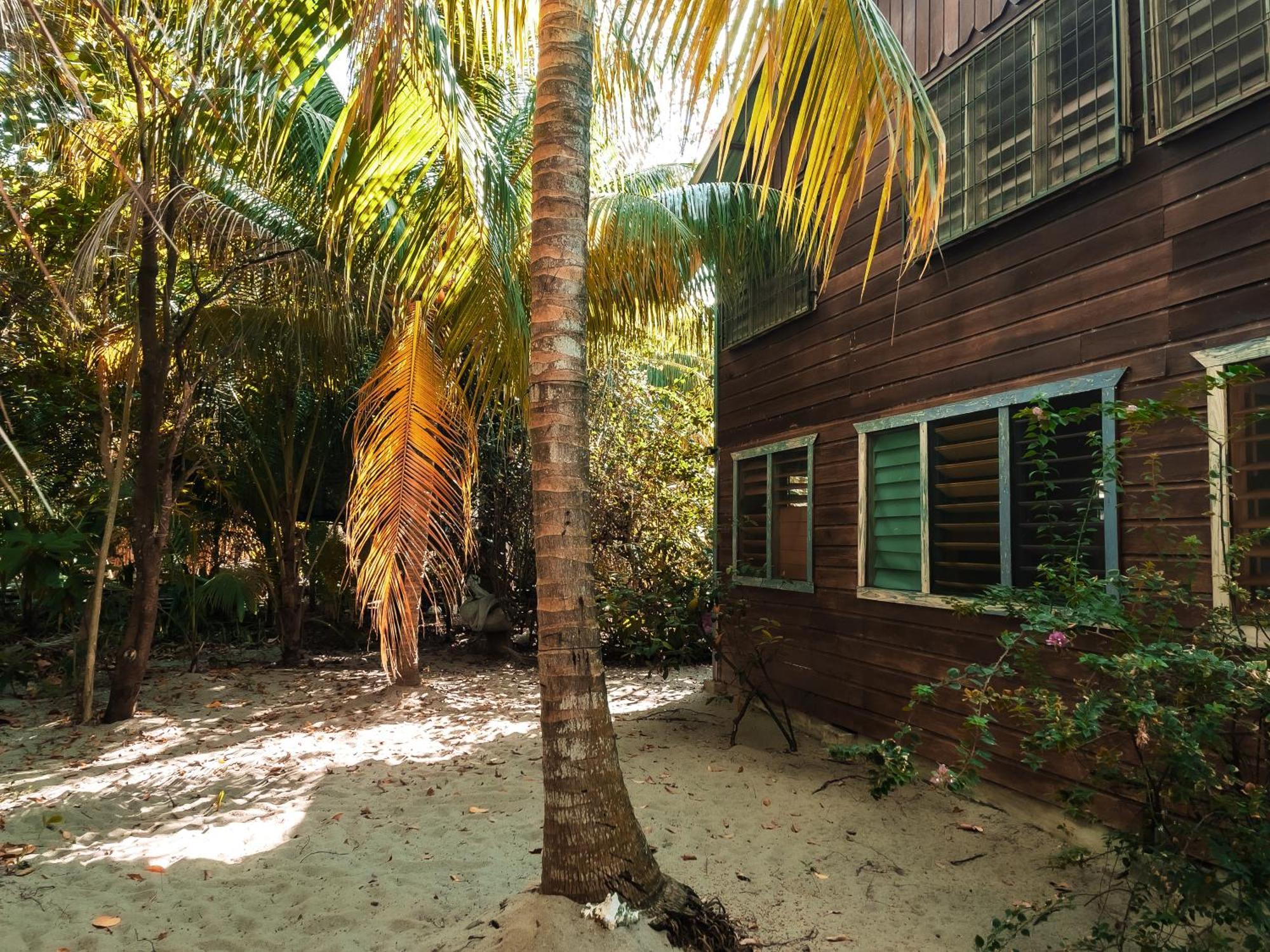 Anda Di Hows Hostel Placencia Екстериор снимка