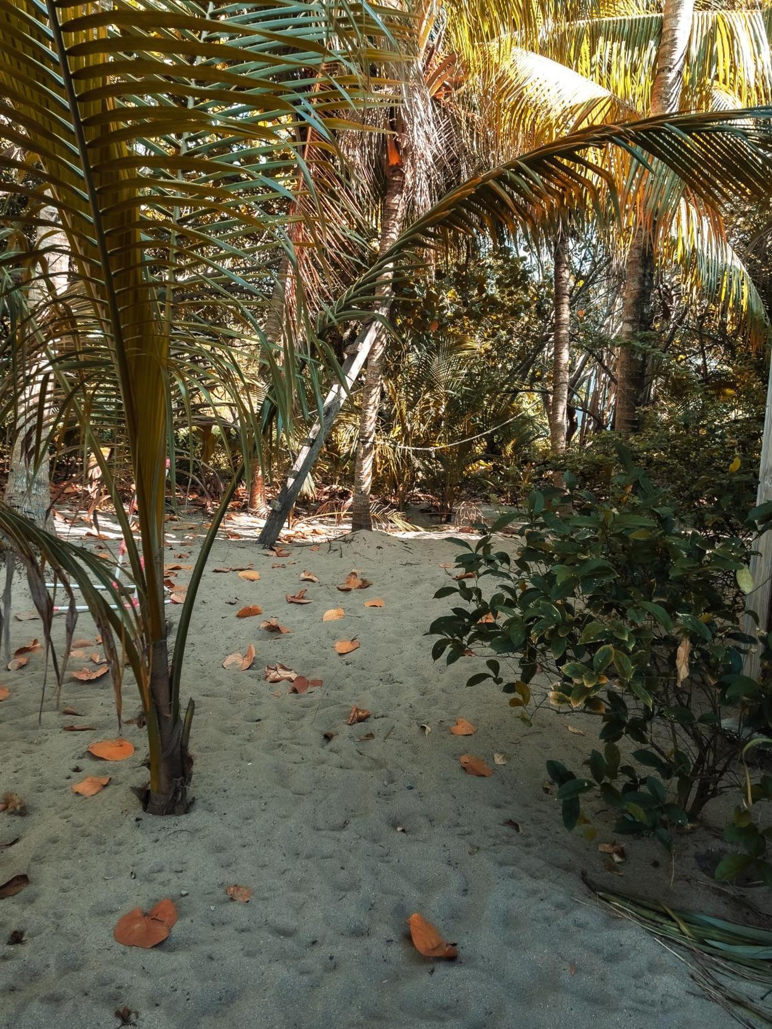 Anda Di Hows Hostel Placencia Екстериор снимка