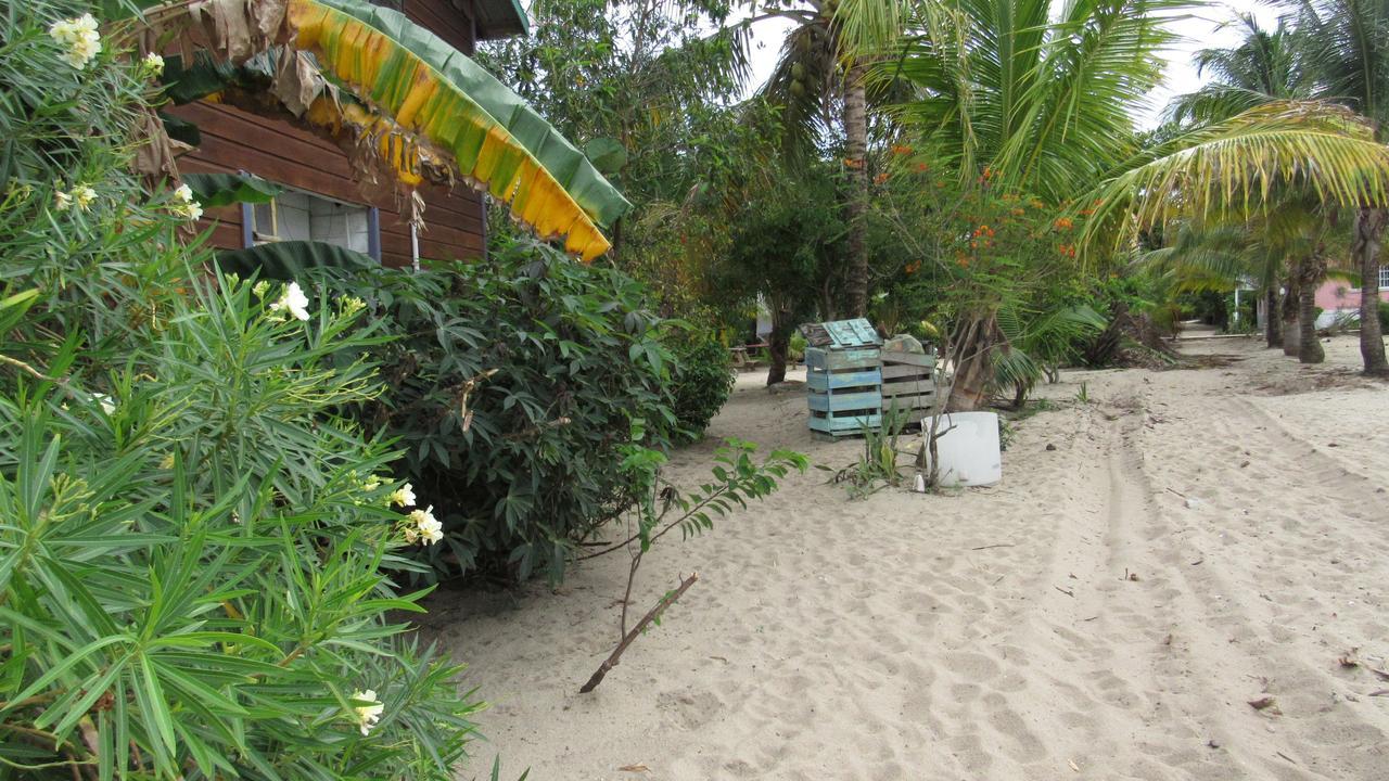 Anda Di Hows Hostel Placencia Екстериор снимка