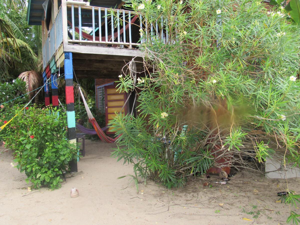 Anda Di Hows Hostel Placencia Екстериор снимка